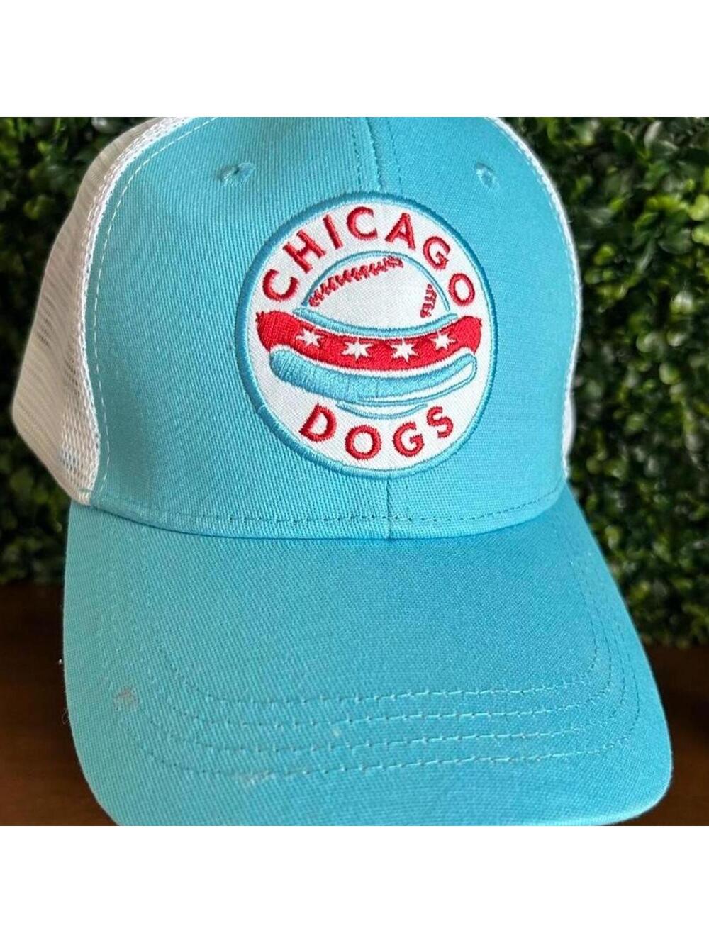 Chicago Dogs Baby Blue Trucker Hat Baseball Snapback Y2K Midwest
